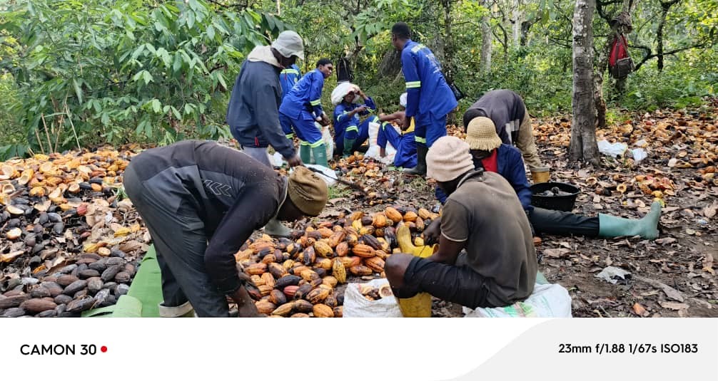 Étudiants en agronomie