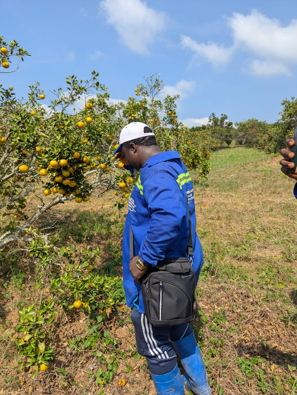 Filière agriculture
